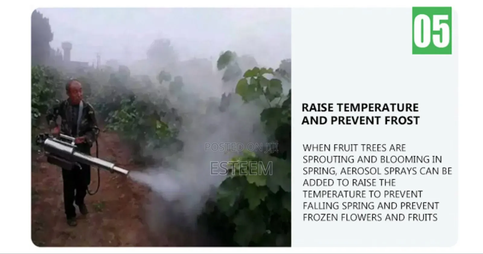Fogging Machine