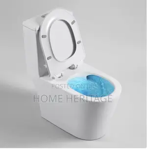 Tonado Flushing Toilet