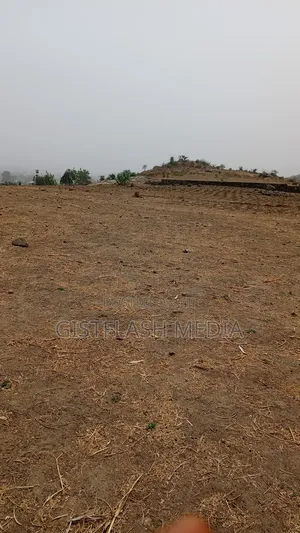 1-Hectare for Sale in Ketti- Pyakasa