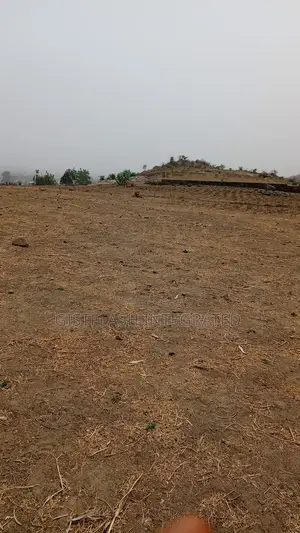 1-Hectare for Sale in Ketti- Pyakasa