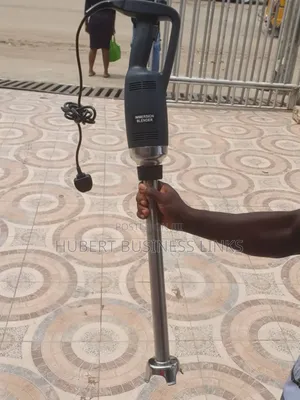 Immersion Blender