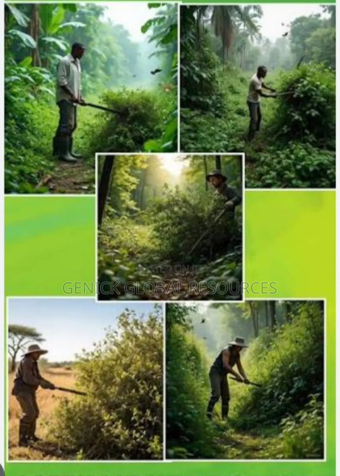  Professional Bush Clearing Services 