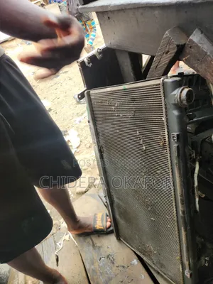 Radiator and Fan Es 350. 010