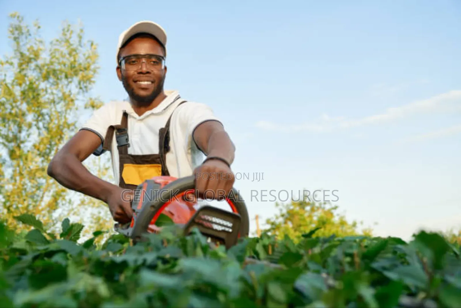 Compound Flower Maintenance Services