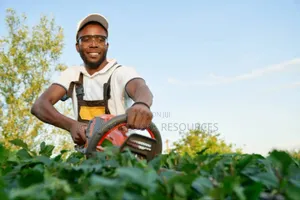 Compound Flower Maintenance Services