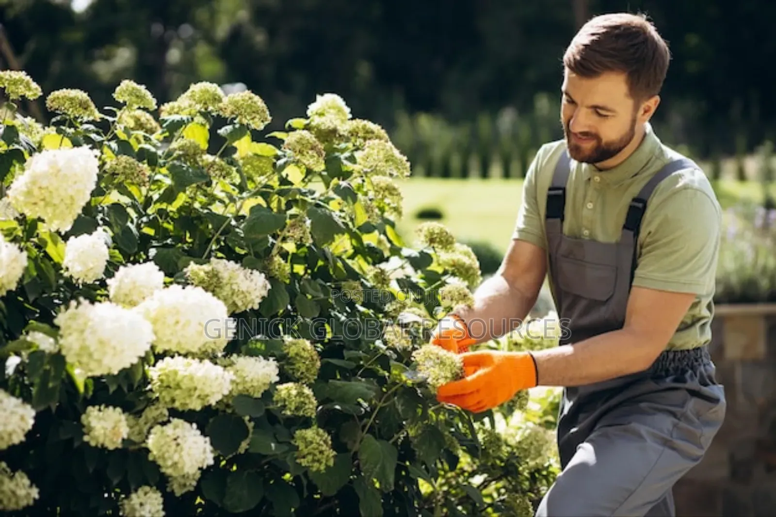 Compound Flower Maintenance Services