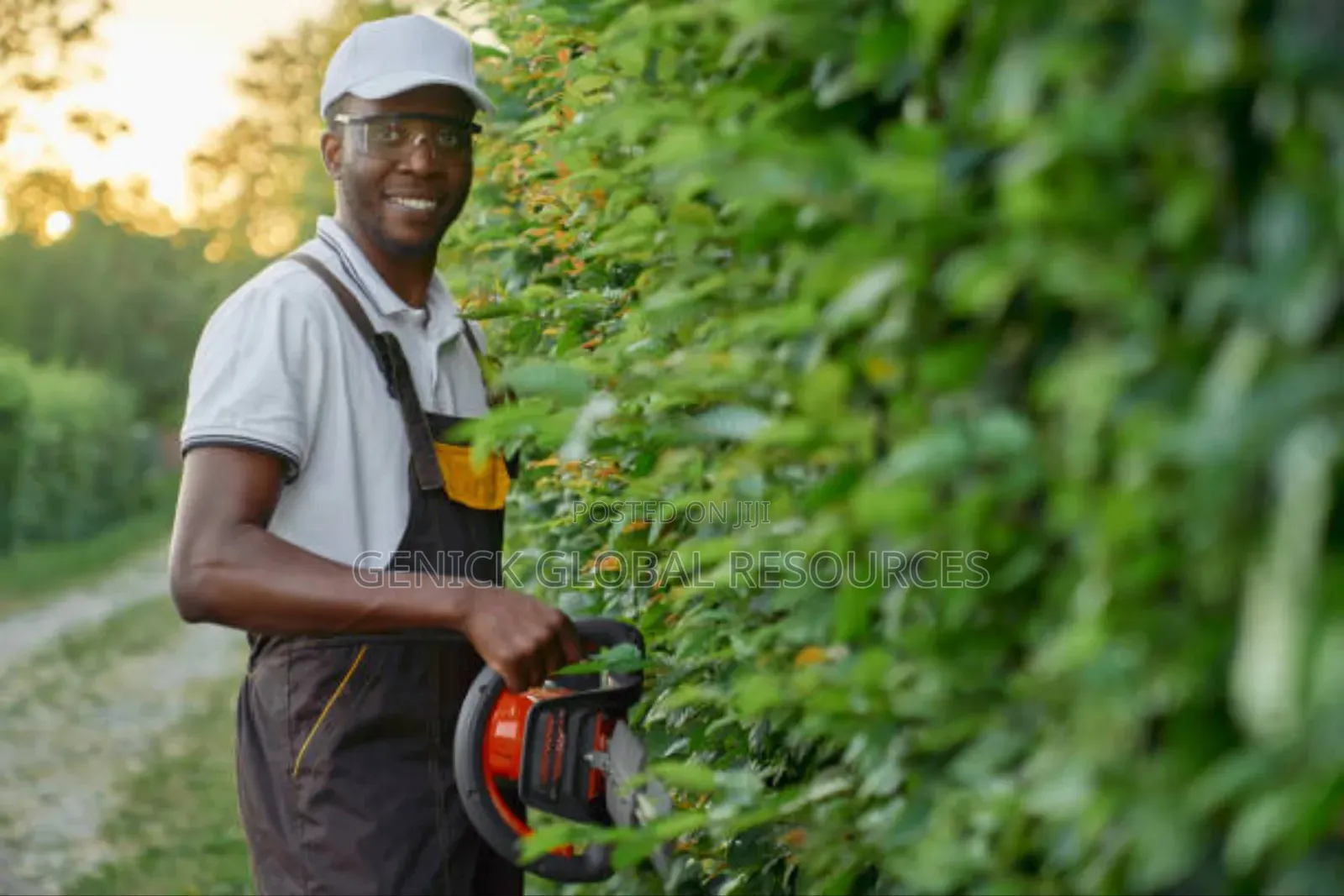  Professional Compound Flower Maintenance 