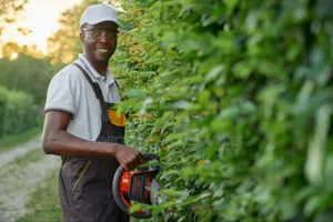  Professional Compound Flower Maintenance 