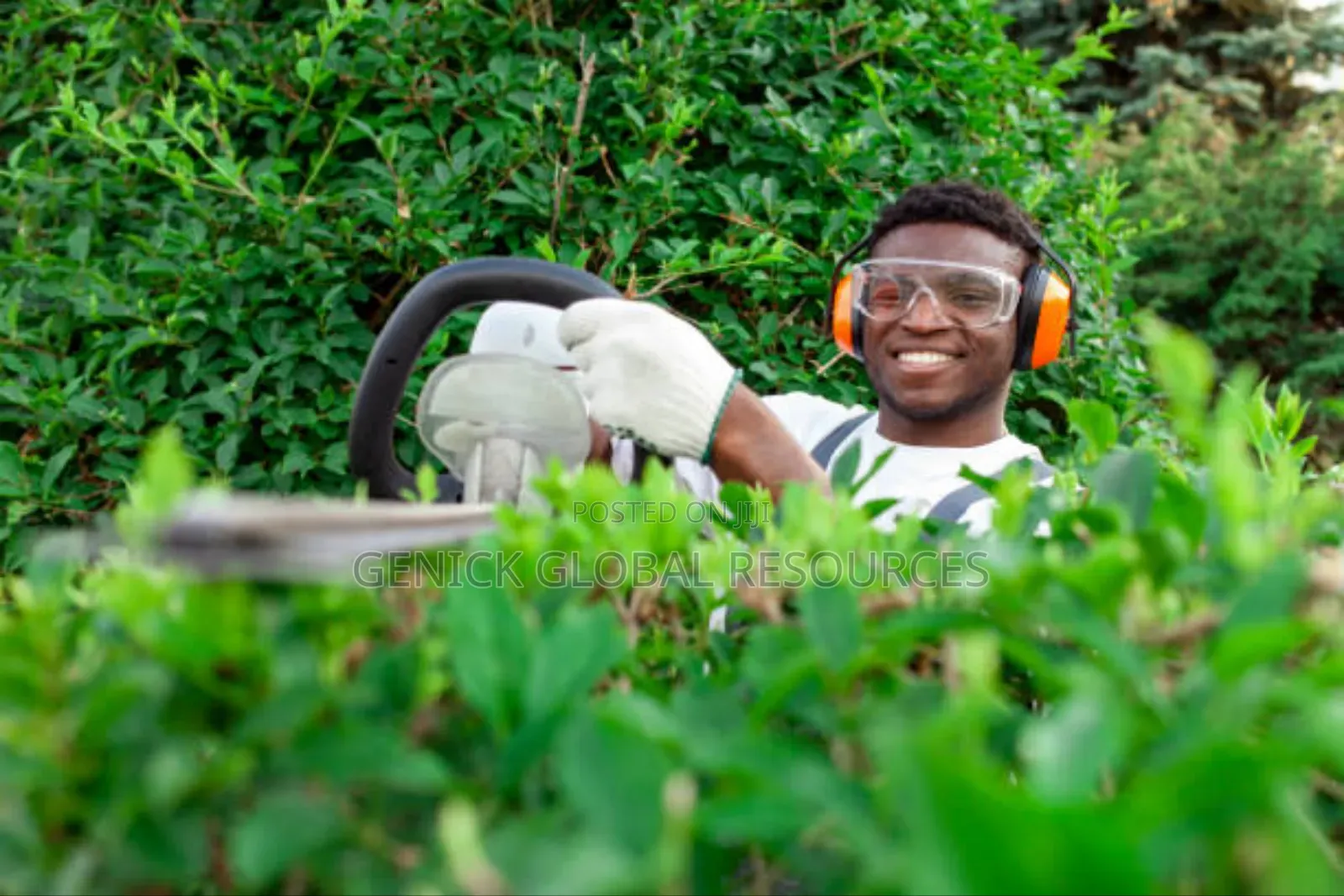  Professional Compound Flower Maintenance 