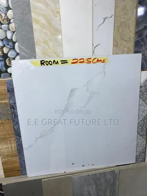 Floor Tiles 60 X 60