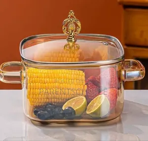 Gold Glass Saucepan Clear Cooking Pot