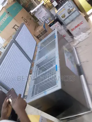 Snowsea 500l Large Transparent Lid Freezer