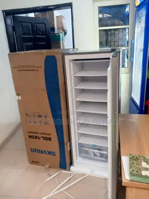 Skyrun 185h Upright Ice Storage Freezer