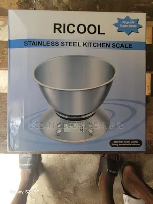 Stainless Scale