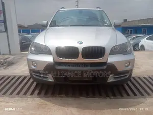 BMW X5 xDrive30i AWD (3.0L 6cyl 6A) 2010 Gray