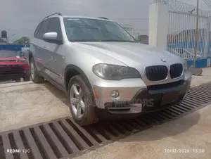 BMW X5 xDrive30i AWD (3.0L 6cyl 6A) 2010 Gray