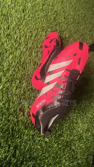 Adidas Predator Ntbridytouch (46)