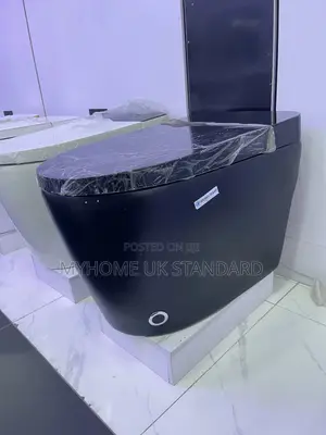Black Smart Sensor Wc With Voice And Remote Control