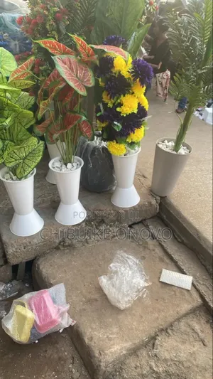 Home Flowers