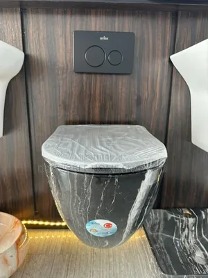Executive Concealed Water Closet