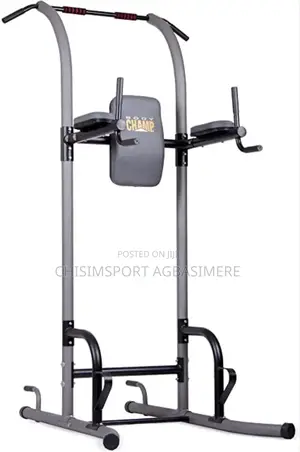Dip Chin Machine