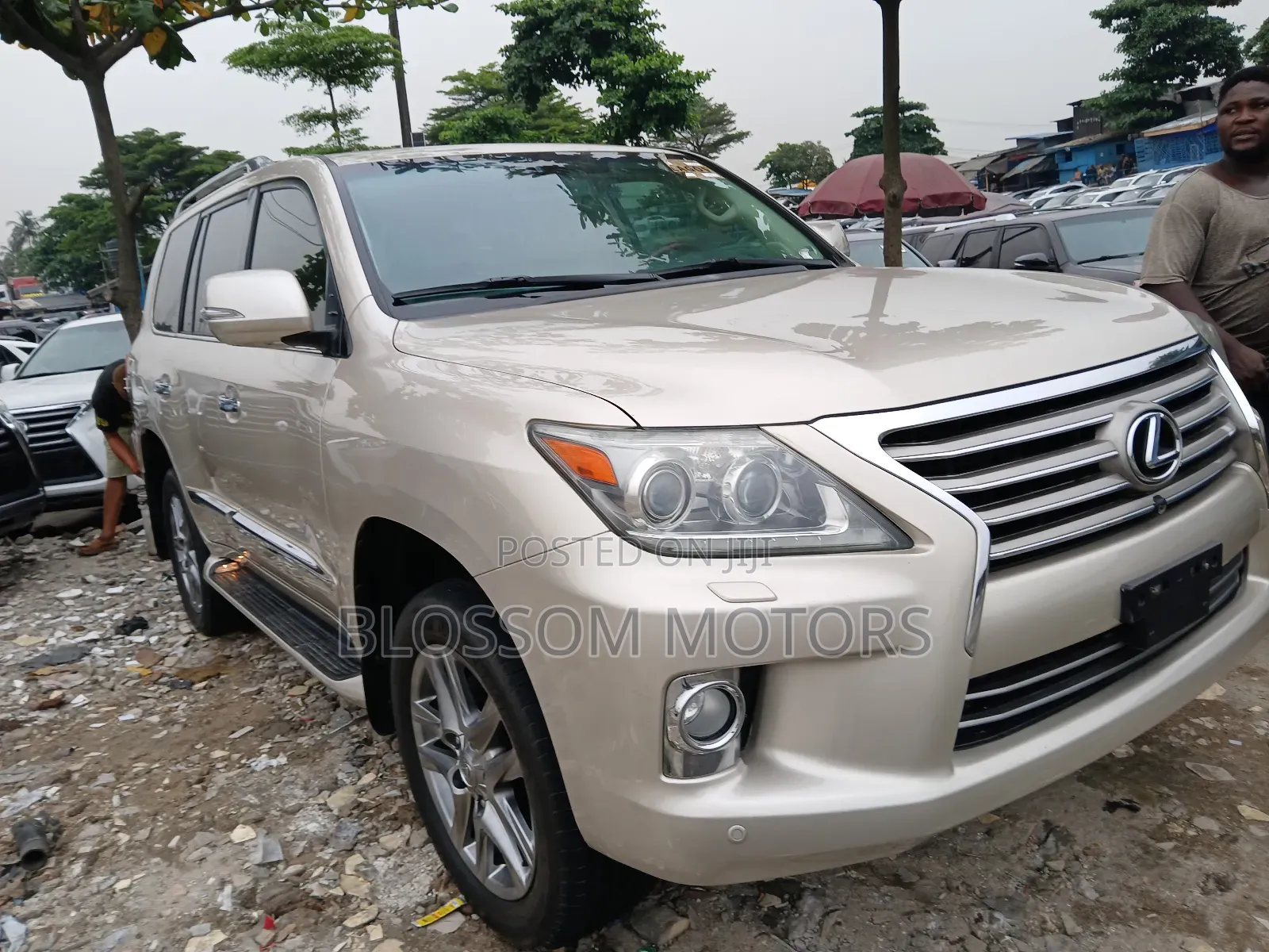 Lexus LX 570 AWD 2014 Gold