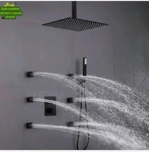 Executive Ceiling Pole Shower With Jet