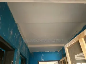 Pop Ceiling Screeding Services
