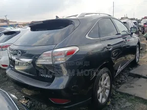 Lexus RX 350 2010 Gray