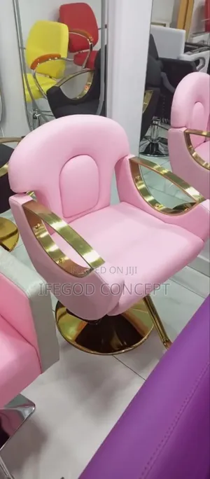Professional Hair Salon Styling Chair