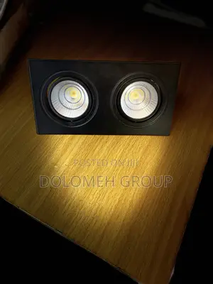 Double Recessed Spot Light Cast
