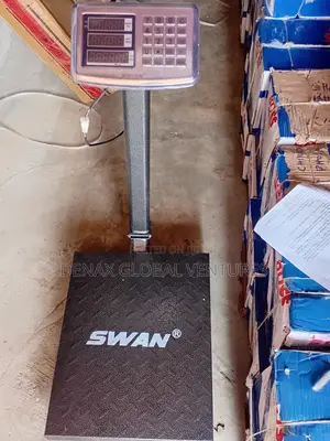 300kg Digital Platform Scale