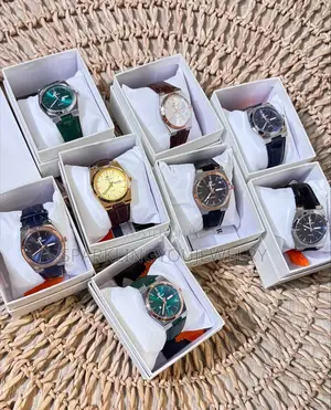 Premium Leather Poedagar Watch for Men