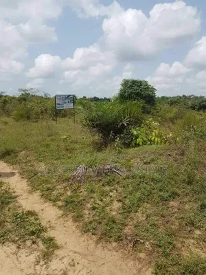 5 And Half Plot Of Land For Sale