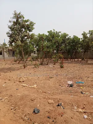 Fo1 Plot for Sale