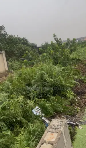 1 and 1/2 Plots of Land at United Estate, Alagbole for Sale
