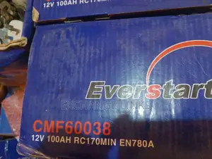 100ah Everstart Battery