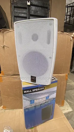Wall Outdoor Speakers 5506