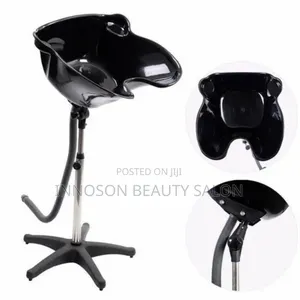 Standing Washing Hair Basin