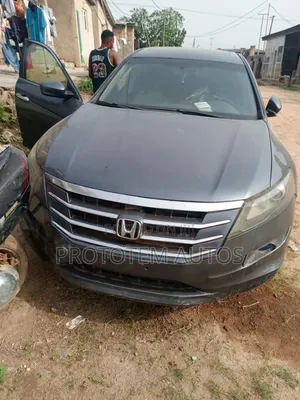 Honda Accord Crosstour EX-L AWD 2010 Gray