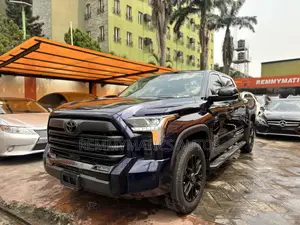 Toyota Tundra 2024 Blue