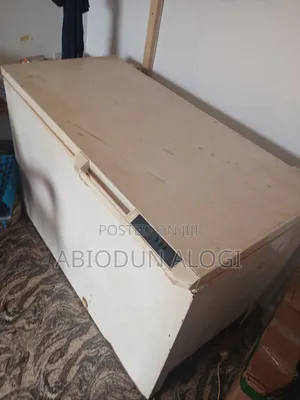 Good Freezer Is Going for Awoof Price.