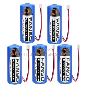 Usa Fanso Er18505h 3.6v 3800mah Li-Ion Battery With 2.0 White Plug Non