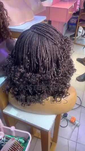 Braided Wig