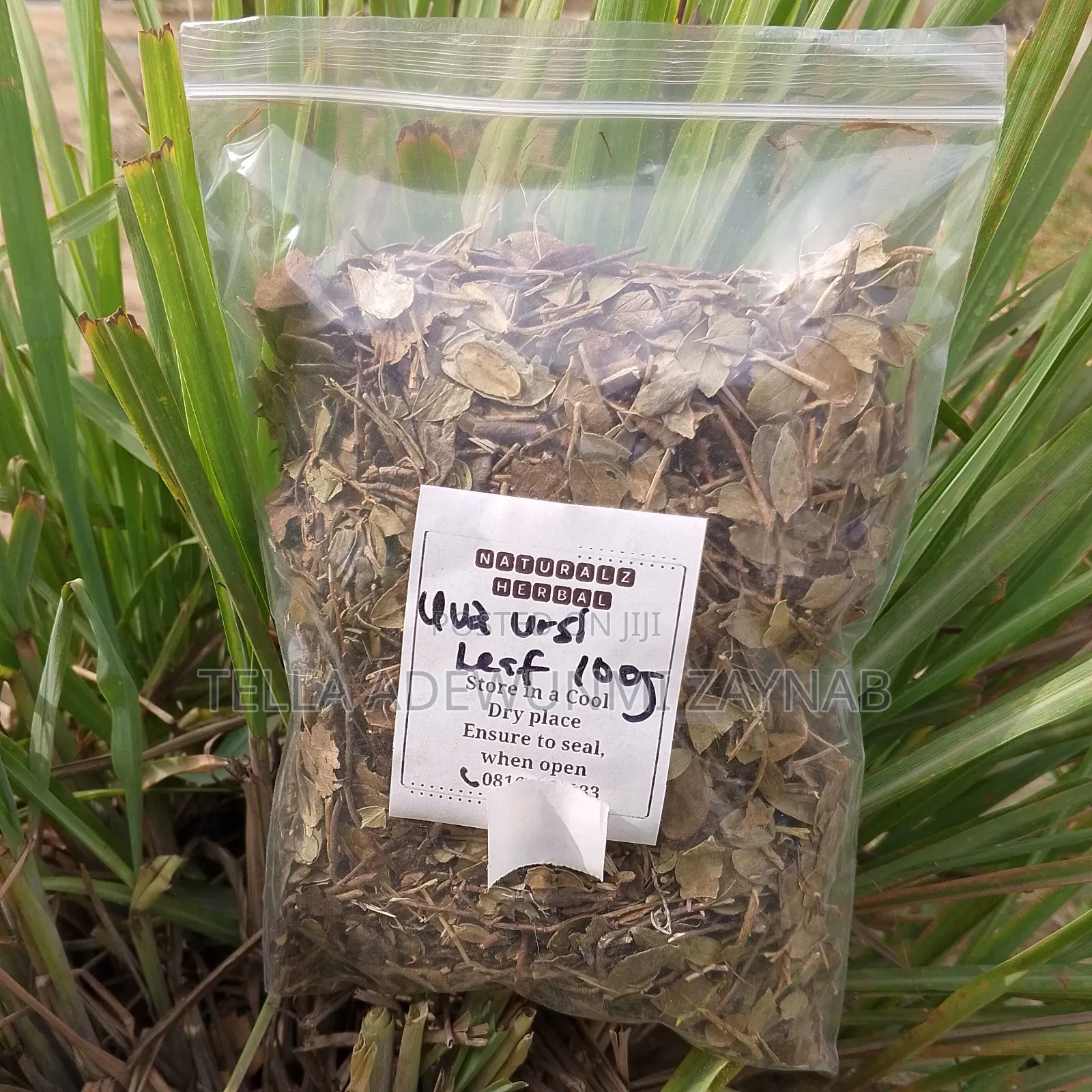 Uva Ursi Leaf -100g