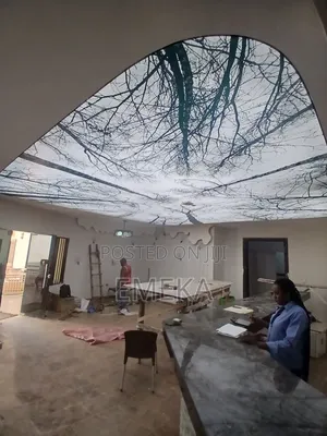 Stretch Ceiling