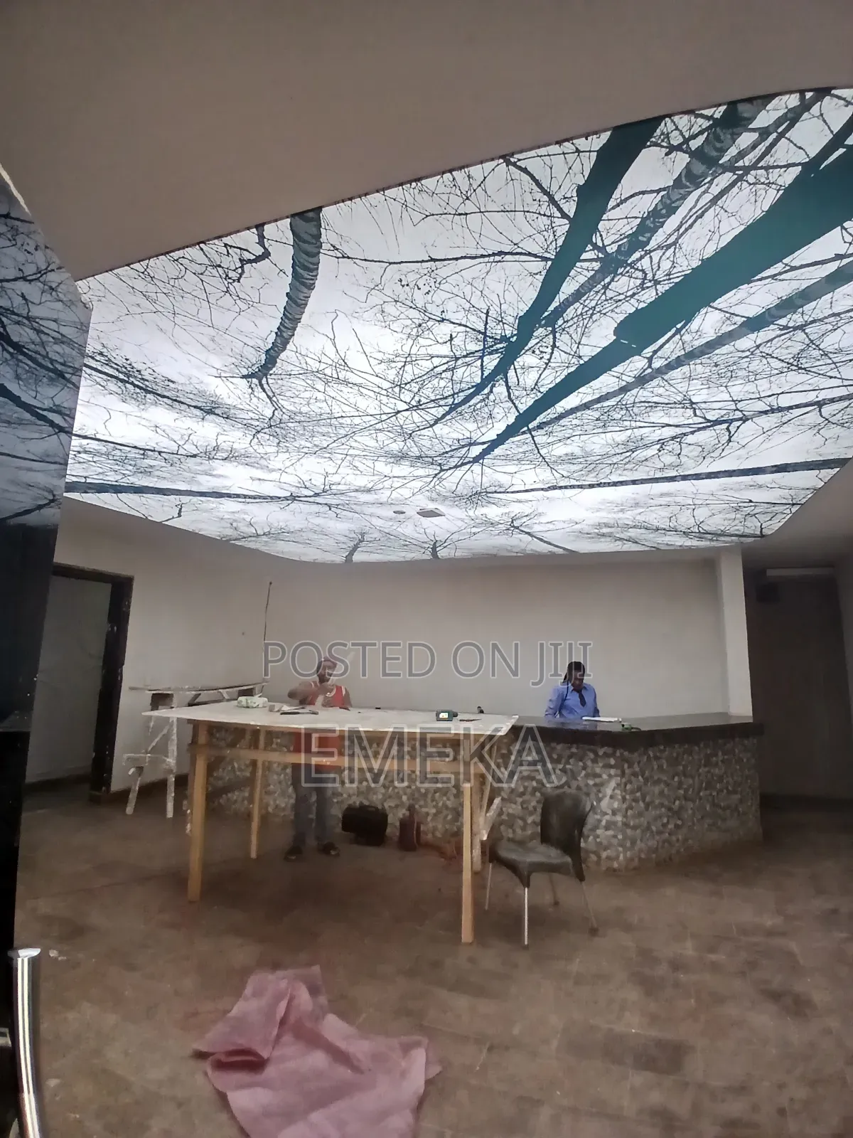 Stretch Ceiling