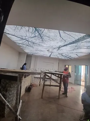 Stretch Ceiling