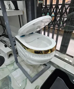 White With Gold Line Concealed Watercloset