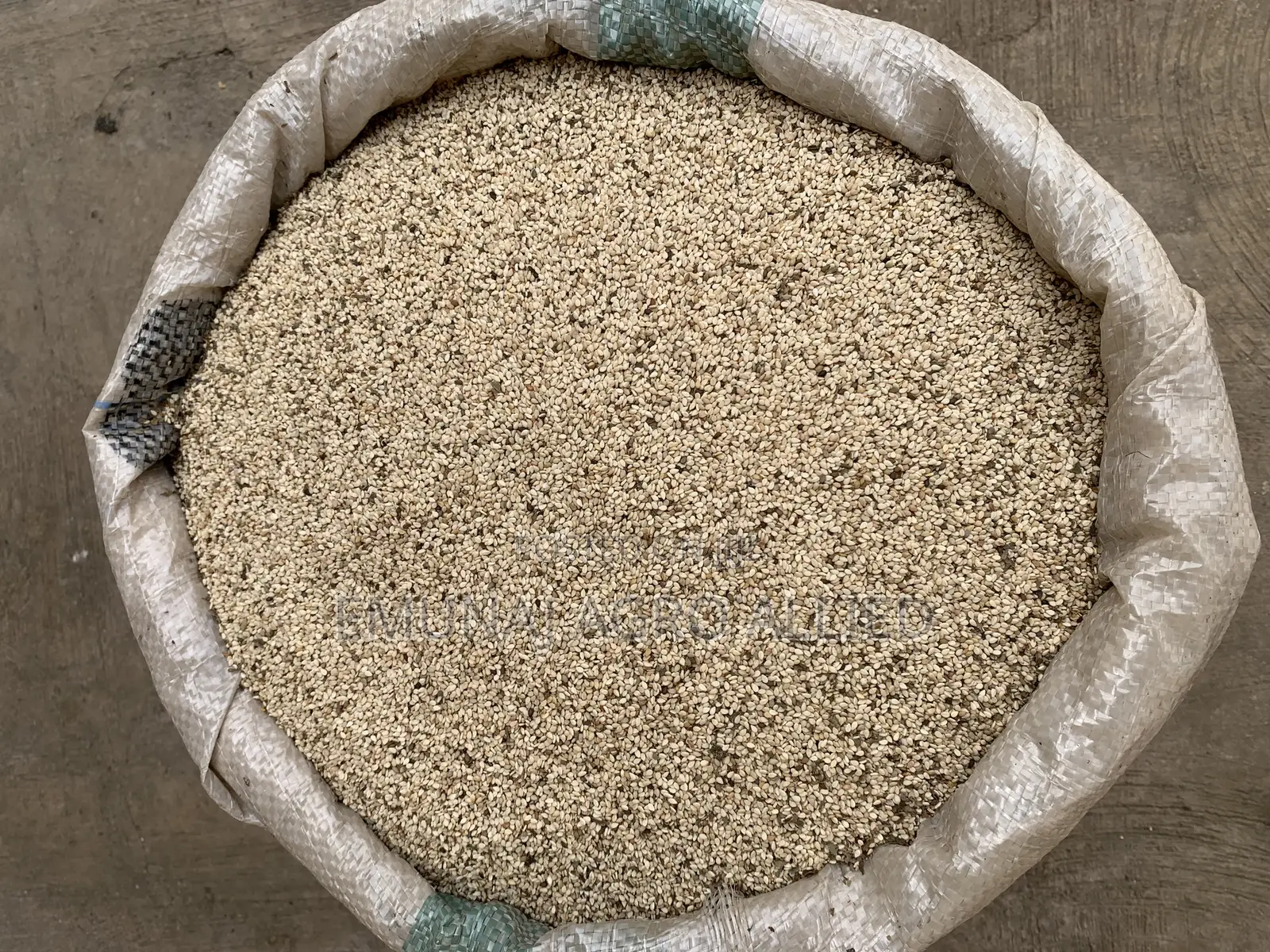 Sesame ( Beneseed )